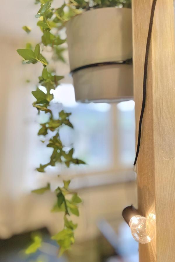 Ruhiges Naturparadies Fuer 4 Mit Kueche Schreibtisch Und Boxbett Wetter  Εξωτερικό φωτογραφία